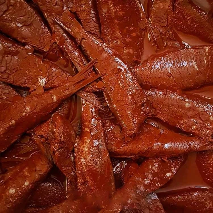 سوراغ غذای کجاست؟
